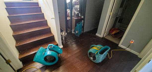 Best Flooded house restoration  in Mack, OH