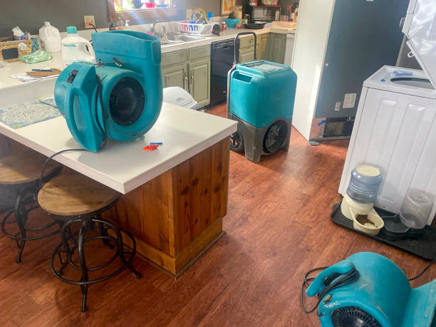 Best Professional water damage repair  in Mack, OH