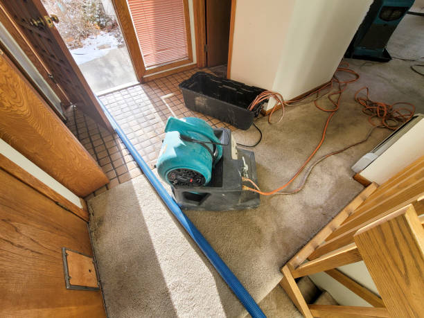 Professional Water damage restoration in OH