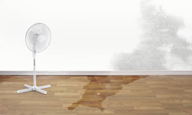 Best Residential water damage restoration  in Mack, OH