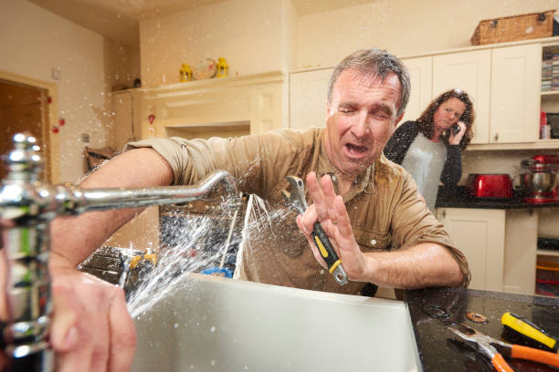 Best Flood restoration services  in Mack, OH